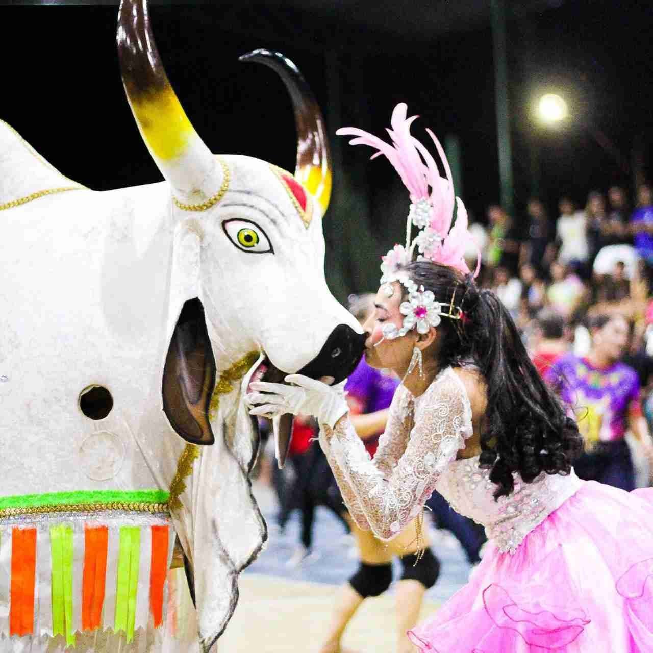 DanÃ§arina com fantasia elaborada de penas marrons e douradas